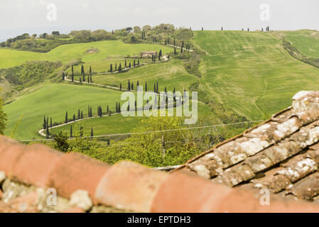 Chiarentana, Toskana, Italien Stockfoto