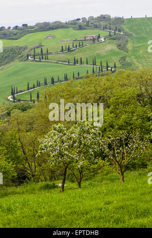 Chiarentana, Toskana, Italien Stockfoto