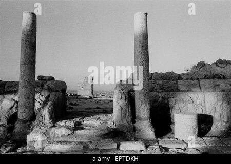 Palmyra, Tadmur, Syrien. 29. Sep, 2009. Datei-Image - Spalten an antiken Ruinen von Palmyra, Tadmor, Syrien. Im Zeitalter der Antike war es eine wichtige Stadt Zentrum von Syrien. Militante Islamisten Staat (IS) in Syrien der antiken Stadt Palmyra ergriffen haben und die Website mit wertvollen Ruinen eingegeben haben. Bild im Bild vom September 2003. Hinweis: Eingescannten und bearbeiteten Bild aus einer original schwarz-weiß-Film. © Jordi Boixareu/ZUMA Draht/Alamy Live-Nachrichten Stockfoto