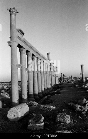 Palmyra, Tadmur, Syrien. 29. Sep, 2009. Datei-Image - Spalten an antiken Ruinen von Palmyra, Tadmor, Syrien. Im Zeitalter der Antike war es eine wichtige Stadt Zentrum von Syrien. Militante Islamisten Staat (IS) in Syrien der antiken Stadt Palmyra ergriffen haben und die Website mit wertvollen Ruinen eingegeben haben. Bild im Bild vom September 2003. Hinweis: Eingescannten und bearbeiteten Bild aus einer original schwarz-weiß-Film. © Jordi Boixareu/ZUMA Draht/Alamy Live-Nachrichten Stockfoto