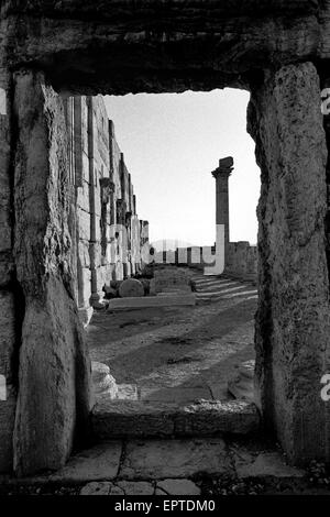 Palmyra, Tadmur, Syrien. 29. Sep, 2009. Datei-Image - Spalte auf antiken Ruinen von Palmyra, Tadmor, Syrien. Im Zeitalter der Antike war es eine wichtige Stadt Zentrum von Syrien. Militante Islamisten Staat (IS) in Syrien der antiken Stadt Palmyra ergriffen haben und die Website mit wertvollen Ruinen eingegeben haben. Bild im Bild vom September 2003. Hinweis: Eingescannten und bearbeiteten Bild aus einer original schwarz-weiß-Film. © Jordi Boixareu/ZUMA Draht/Alamy Live-Nachrichten Stockfoto