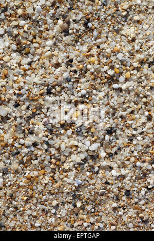 Nahaufnahme von Steinen am Strand, Biarritz, Frankreich Stockfoto