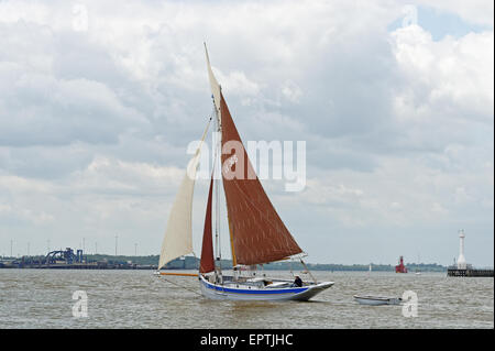 Historischen Auster smack CK365 - Transcur - Segeln im Hafen von Harwich, UK. Sie ist approx.35 Fuß lang und wurde 1889 errichtet Stockfoto
