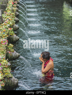 Bali, Indonesien - 21. Mai 2015: Hindus beten während der Reinigungszeremonie im Tirta Empul Tempel. Ausländer sind herzlich eingeladen, an der Zeremonie teilzunehmen. Stockfoto