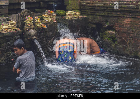 Bali, Indonesien - 21. Mai 2015: Hindus beten während der Reinigungszeremonie im Tirta Empul Tempel. Ausländer sind herzlich eingeladen, an der Zeremonie teilzunehmen. Stockfoto