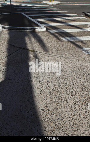 Der Schatten einer Palme fällt auf einem Fußgängerüberweg in Bronte in Sydney Stockfoto