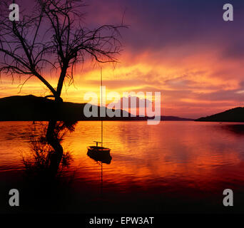 Sonnenuntergang Landschaft. Drei und Segelboot im Sonnenuntergang am Meer. Stockfoto