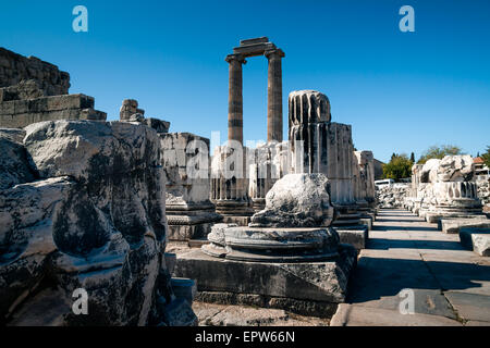 Ruinen von Säulen und Pfeiler des Tempels des Apollo in Didim, Aydin Provinz Stockfoto