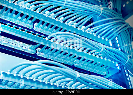 Art der Verkabelung Wandschrank Patch-Panels mit 6. Kategorie in den Hintergrund, Blau-Ton Stockfoto