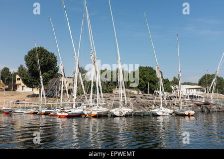 Feluken, touristische Boote und Wassertaxis vertäut abseits die Ufer von Kitchener-Insel auf dem Nil bei Assuan, Oberägypten Stockfoto