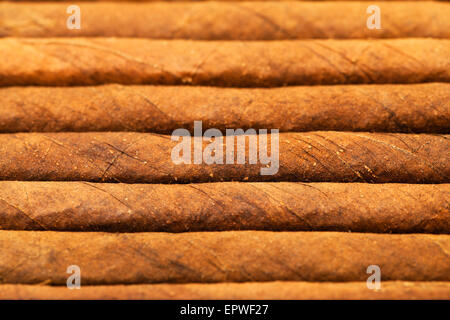 Hintergrund von Zigarren Stockfoto