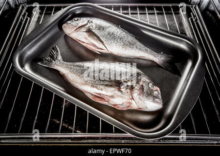 Dorado Fisch kochen im Ofen. Stockfoto