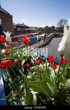 Stadt von Skipton, England. Malerischen Frühling Ansicht des Ortsverbandes Thanet der Leeds, Liverpool Canal. Stockfoto