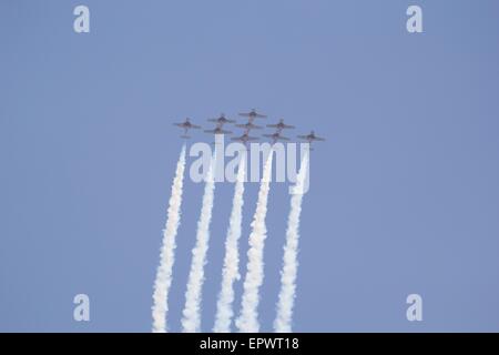 Canadian Air Force "Snowbirds" führen in die CT-114-TutorInnen an der Great New England Air Show, Westover Air Reserve Base, Masse Stockfoto