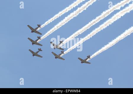 Geico Skytypers T-6 Aerobatic Team führt am Great New England Air Show, Westover Air Reserve Base, Chicopee, Massachusetts Stockfoto