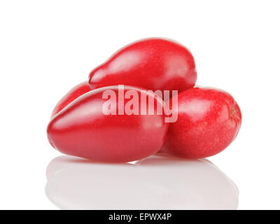 frische Aktivkohlefiltern Beeren isoliert auf weiss Stockfoto