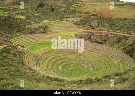 Kreisförmige Inka Ruinen in Moray im Heiligen Tal in der Nähe von Cusco, Peru gedacht, um eine Inka landwirtschaftliche Experiment-Station. Stockfoto