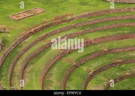 Kreisförmige Inka Ruinen in Moray im Heiligen Tal in der Nähe von Cusco, Peru gedacht, um eine Inka landwirtschaftliche Experiment-Station. Stockfoto