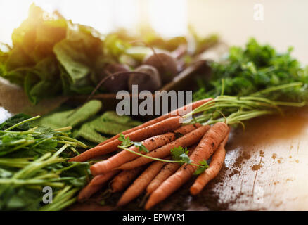 Frisch geerntete Gemüse Stockfoto