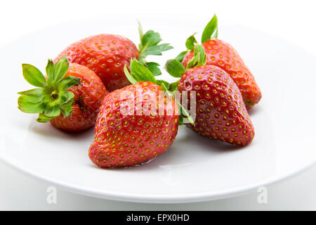 rote Erdbeeren frisch gepflückt auf weißem Hintergrund Stockfoto