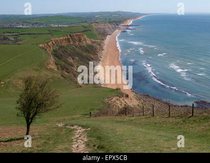 Südwest-Küstenweg, Blick vom Thorncombe Beacon Hill, Eype, Dorset, Großbritannien Stockfoto