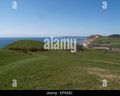 Südwest-Küstenweg oberhalb der einladendsten, Dorset, Großbritannien Stockfoto