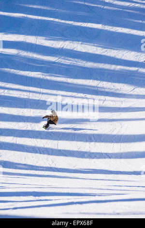 USA, Montana, Felchen, Snowboarden über Schatten Mann Stockfoto