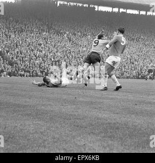 Birmingham entsprechen ca. 3-6 Wölfe, Division ein, Liga in St Andrews, Samstag, 7. Oktober 1961. Auf dem Bild: Mark Lazarus von Wölfen in Aktion. Stockfoto