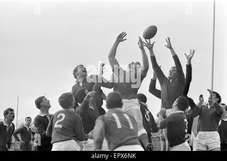 London Wasps V Llanelli, Rugby-Union-Spiel, März 1966. Stockfoto