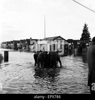 Überschwemmungen in Jaywick, Essex, Februar 1953. Stockfoto