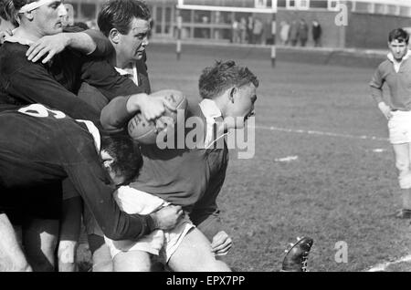 London Wasps V Llanelli, Rugby-Union-Spiel, März 1966. Stockfoto