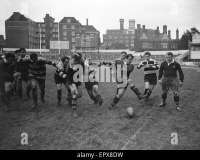 London Wasps V Cardiff Blues, Rugby Union überein, Dezember 1959. Stockfoto