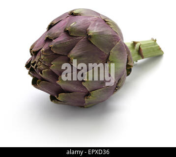 violette Artischocke isoliert auf weißem Hintergrund Stockfoto