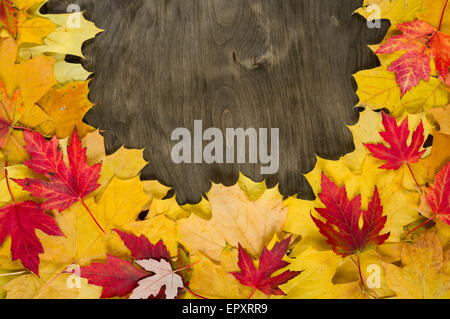 gelbes Herbstlaub Frame auf Holz Hintergrund Stockfoto
