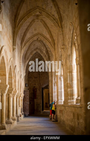 Kreuzgang der Kathedrale de Santa Maria von Plasencia, Cáceres, Extremadura. Spanien Stockfoto