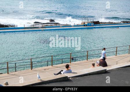 Dee Why Beach Rockpool Swimmingpool mit Leuten, die sich entspannen und den Meerblick genießen, Sydney, NSW, Australien Stockfoto