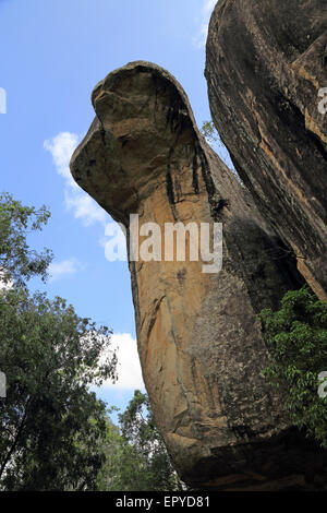 Cobra Hood Höhle Felsen in den Palast Boulder Gärten, Sigiriya, Central Province, Sri Lanka, Asien Stockfoto