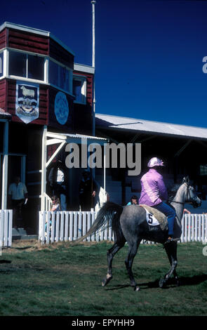 Ein Pferderennen treffen in Port Stanley, die Falkland-Inseln (britisches Überseegebiet), im Süden Atlantic.picture genommen 1986 Stockfoto