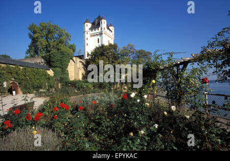 DEU, Deutschland, Eltville, die Burg am Rhein.  DEU, Deutschland, Eltville, Kurfuerstliche-Burg bin Rheinufer. Stockfoto