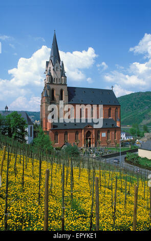 DEU, Deutschland, die Liebfrauen-Kirche in Oberwesel am Rhein.  DEU, Deutschland, Die Liebfrauenkirche in Oberwesel bin Rhe Stockfoto