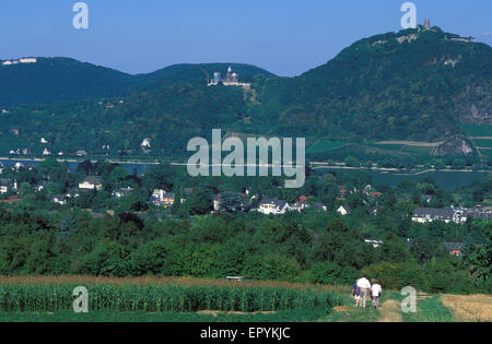 DEU, Deutschland, Blick über den Fluss von Bonn-Mehlem, auf den Berg Drachenfels Rhein und das Siebengebirge.  DEU, Deutschland, Stockfoto