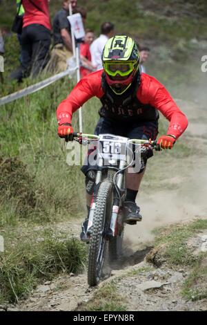 Aberystwyth, Ceredigion, West Wales, UK 23. Mai 2015.  Das Adrenalin-downhill Mountainbike-Rennen, bei strahlendem Sonnenschein, Teil des Zyklus Fest 2015 © Trebuchet Fotografie/Alamy News Live Stockfoto