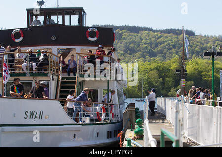Lake Windermere, Cumbria, UK. 23. Mai 2015. Auf & rund um Lake Windermere klaren blauen Himmel & Sonne für Bank Holiday bringt Wochenende die Touristen in Kraft. Der Passagierdampfer der Schwan (Baujahr 1938) in Bowness Pier Credit: Gordon Shoosmith/Alamy Live News Stockfoto