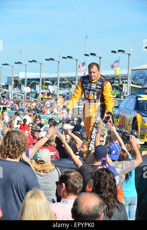 2014 Ford Meisterschaft Wochenende - pre-Race-Zeremonien für die NASCAR Sprint Cup Series Ford EcoBoost 400 mit: Ryan Newman, Fahrer von #31 Caterpillar Chevrolet wo: Homestead Miami, Florida, USA bei: Kredit-17. November 2014: Johnny Louis/WENN.com Stockfoto