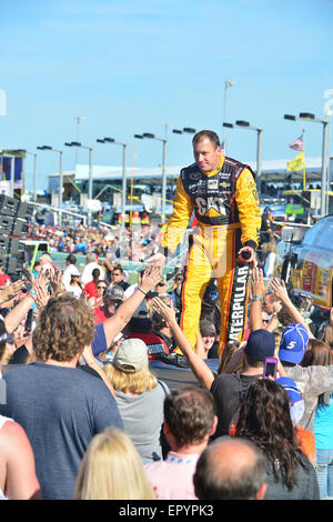 2014 Ford Meisterschaft Wochenende - pre-Race-Zeremonien für die NASCAR Sprint Cup Series Ford EcoBoost 400 mit: Ryan Newman, Fahrer von #31 Caterpillar Chevrolet wo: Homestead Miami, Florida, USA bei: Kredit-17. November 2014: Johnny Louis/WENN.com Stockfoto