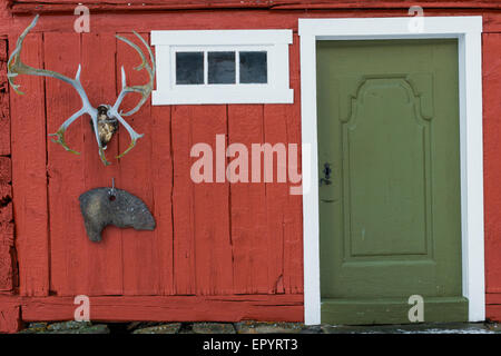 Alte rote Hütte mit grünen Tür im Dovrefjell Nationalpark in Hjerkinn, Norwegen. Stockfoto