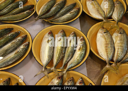 Bereit, gekocht und gegessen, sind diese Fische zu verkaufen in Schalen angezeigt. Stockfoto