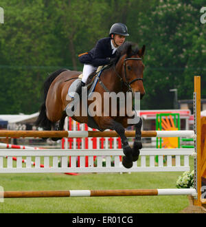 Show-Jumping in Hertfordshire County Show, Redbourn, Hertfordshire, England Stockfoto