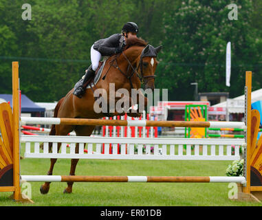 Show-Jumping in Hertfordshire County Show, Redbourn, Hertfordshire, England Stockfoto