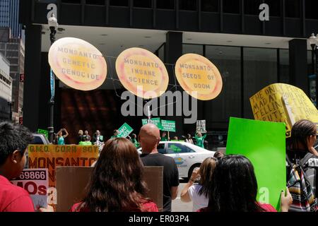 Chicago, USA 23. Mai 2015. Anti-GVO und GVO pro-antreten Demonstranten von entgegengesetzten Seiten des Dearborn Street auf dem Marsch gegen Monsanto Protest in Federal Plaza heute. Bildnachweis: Todd Bannor/Alamy Live-Nachrichten Stockfoto